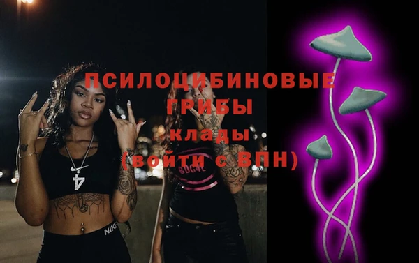 дживик Белоозёрский