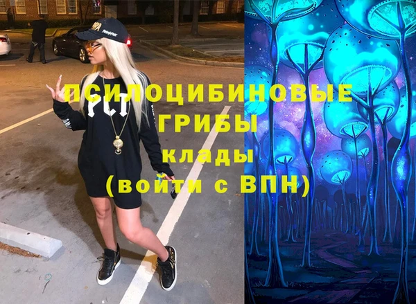 кокс Белокуриха