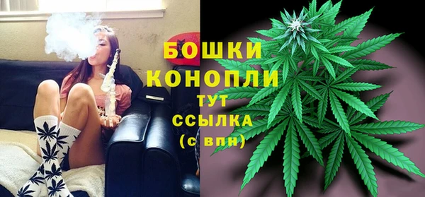 дживик Белоозёрский