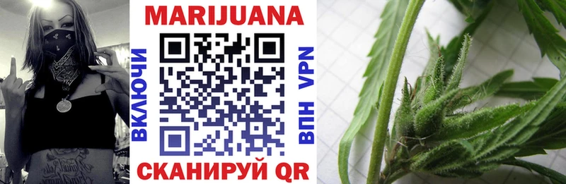 Бошки Шишки тримм  закладки  Обь 